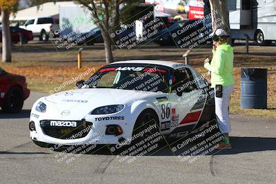 media/Nov-17-2024-CalClub SCCA (Sun) [[5252d9c58e]]/Around the Pits/